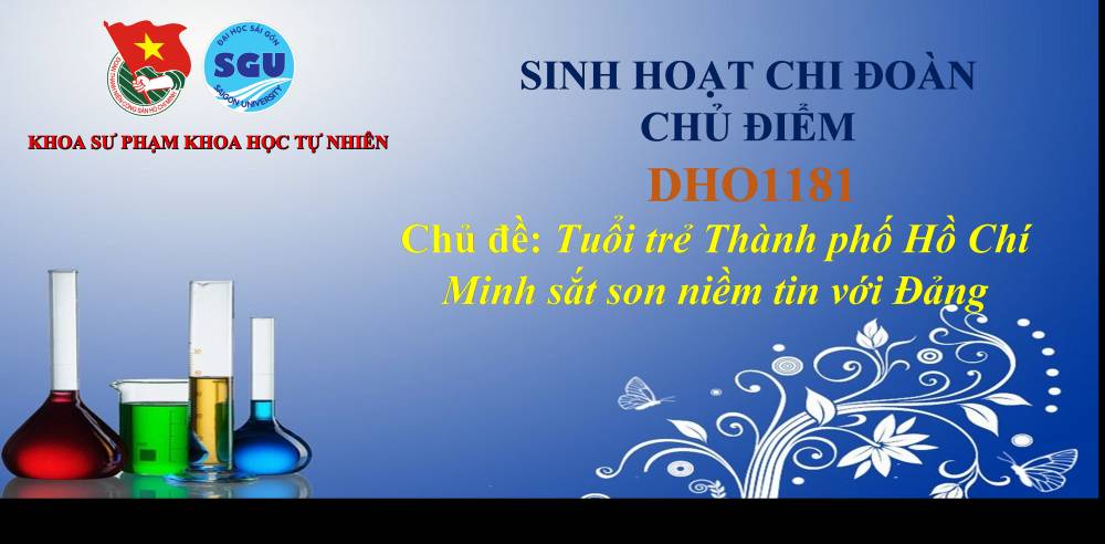 THỂ LỆ CUỘC THI TỰ HÀO ĐOÀN VIÊN DHO1181