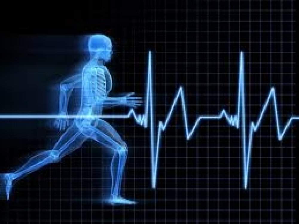 TẦN SỐ MẠCH LÀ GÌ? CÓ VAI TRÒ NHƯ THẾ NÀO TRONG HOẠT ĐỘNG TDTT