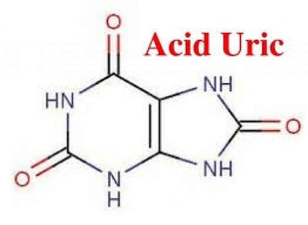 Acid Uric Là Gì?