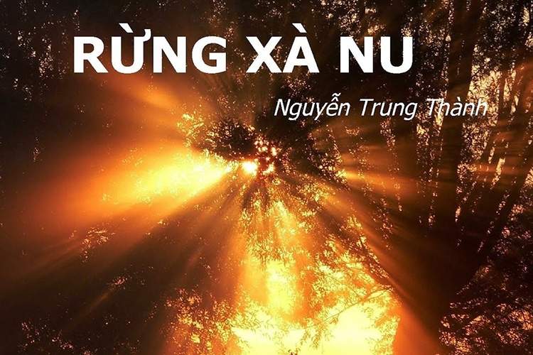 HÌNH TƯỢNG NHÂN VẬT TNÚ