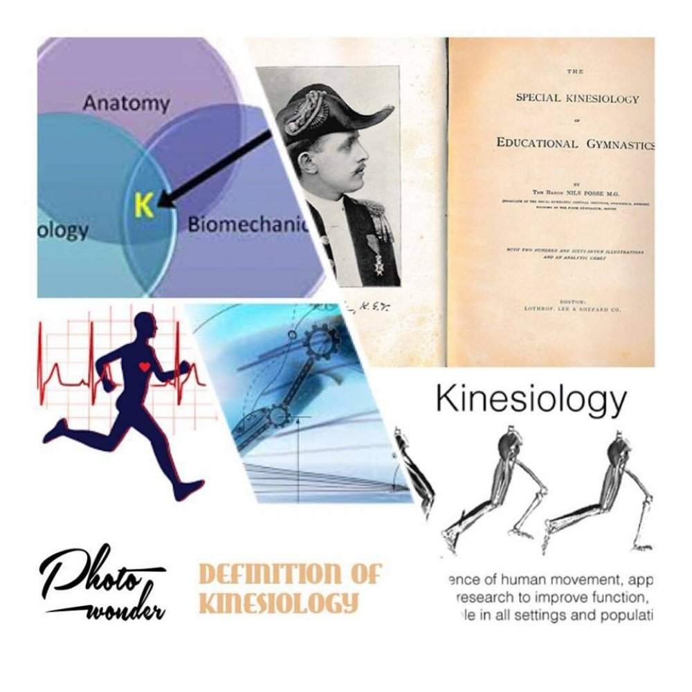 KHÁI NIỆM VÀ LỊCH SỬ PHÁT TRIỂN CỦA KINESIOLOGY (VẬN ĐỘNG HỌC)