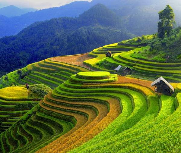 ĐỀ THI THỬ THPTQG LẦN THỨ 16