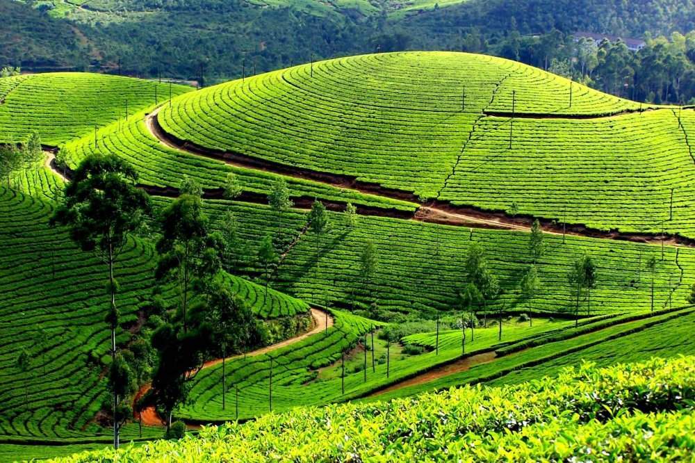 ĐỀ THI HK2 ĐỊA 12 NĂM 2018-2019- SỞ GIÁO DỤC TP. ĐÀ NẴNG