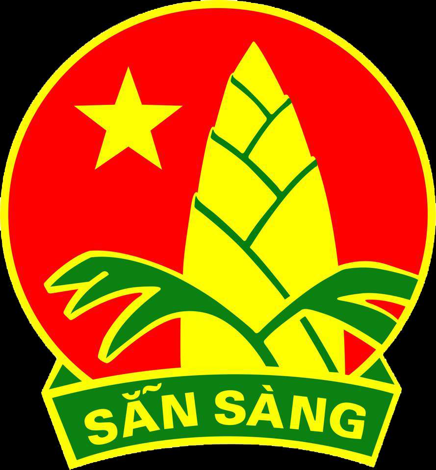 Điều lệ đội TNTP Hồ Chí Minh