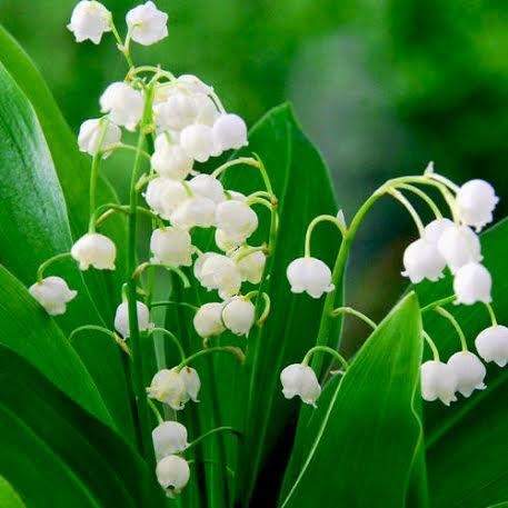 Cùng học tiếng Hàn: ôn tập lại bài