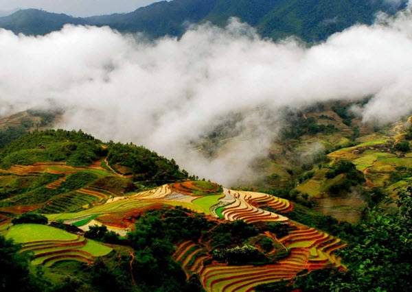 Mẫu 3 Phân Tích Tác Phẩm Lặng Lẽ Sa Pa Của Nguyễn Thành Long