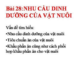 Giải bài tập SGK Công nghệ lớp 10 bài 28: Nhu cầu dinh dưỡng của