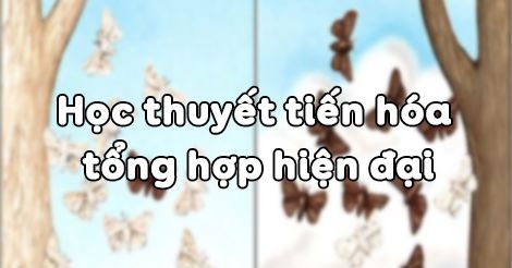 Tóm tắt lý thuyết Sinh học 12 bài 26