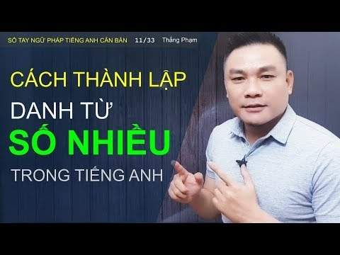 Danh từ và cách thành lập danh từ số nhiều trong Tiếng Anh
