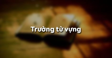 Soạn Văn 8: Trường từ vựng