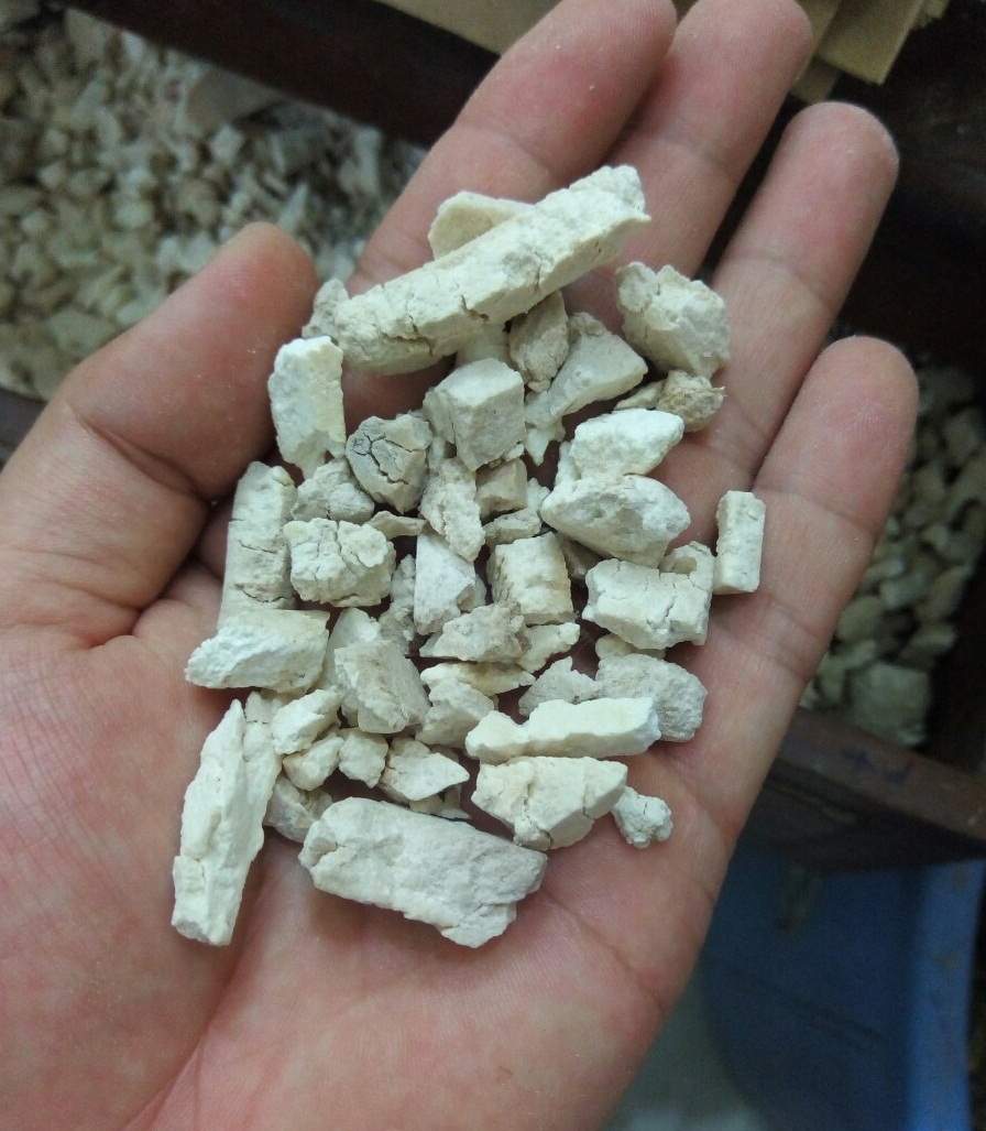 Bạch phục linh - lợi niệu, an thần