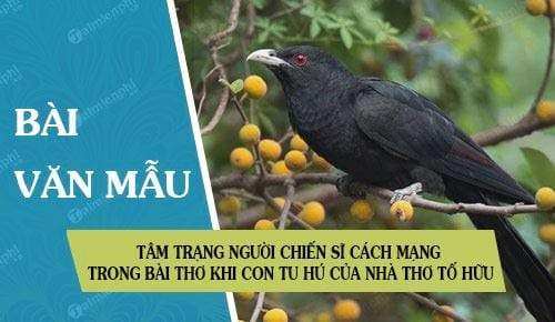 M4 Tâm trạng người chiến sĩ c.mạng trong bài thơ Khi con tu hú
