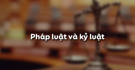 Giải bài tập SBT GDCD lớp 8 bài 5: Pháp luật và kỷ luật