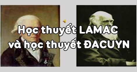 Tóm tắt lý thuyết Sinh học 12 bài 25