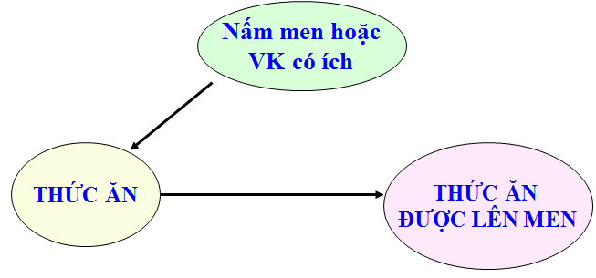 Giải bài tập SGK Công nghệ lớp 10 bài 33: Ứng dụng công nghệ vi s