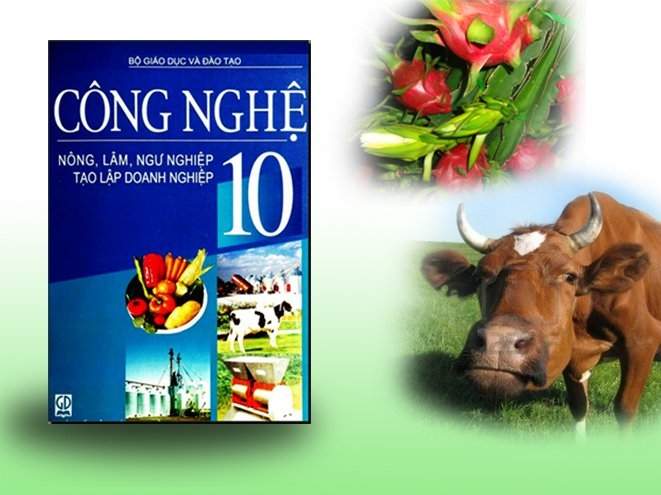 Lý thuyết Khảo nghiệm giống cây trồng Trang 9 – 11 SGK Công nghệ