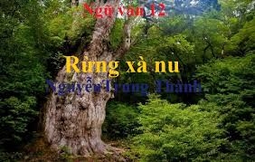 Phân tích phẩm chất anh hùng của các nhân vật trong Rừng xà nu