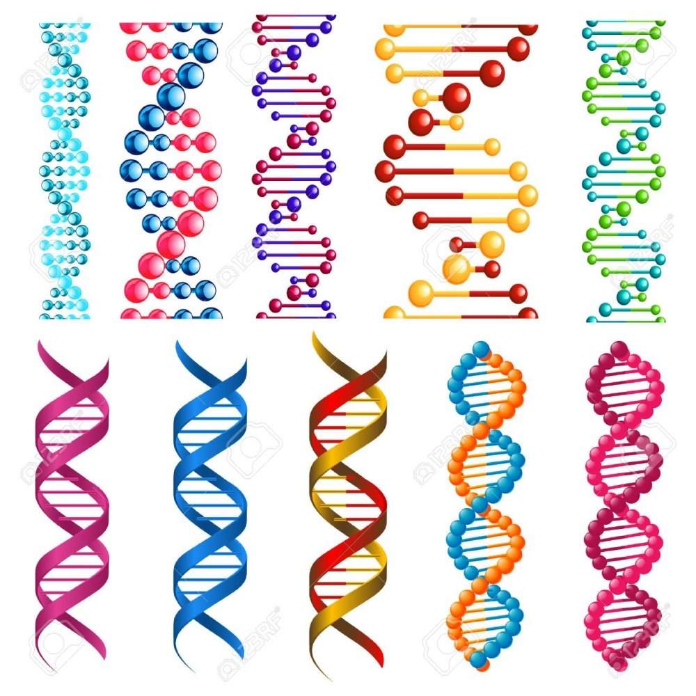 Đề kiểm tra Sinh 12 Học kì 2 (Trắc nghiệm - Tự luận 3)