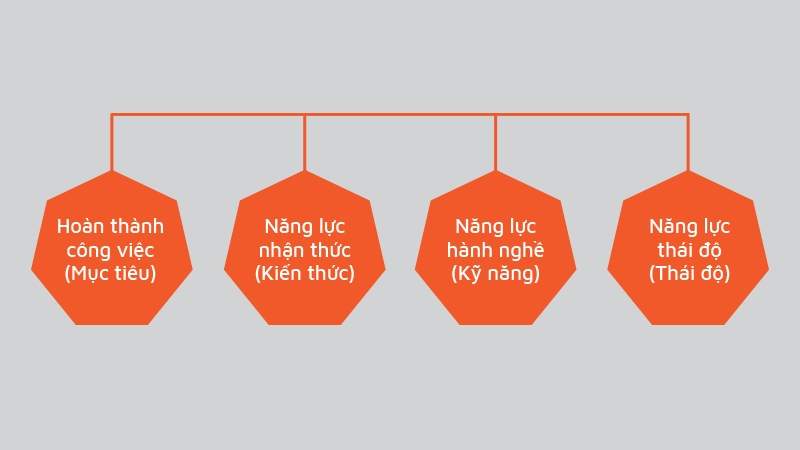 công cụ hiệu quả để đánh giá và phát triển đội ngũ nhân sự