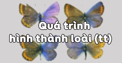 Giải bài tập SGK Sinh học lớp 12 bài 30: Quá trình hình thành loà