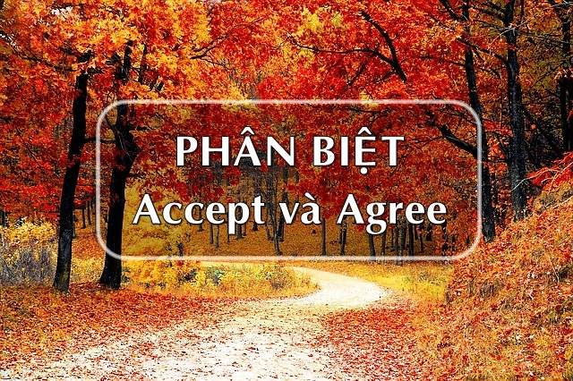 Phân biệt Accept và Agree