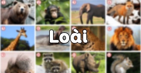 Giải bài tập SGK Sinh học lớp 12 bài 28: Loài