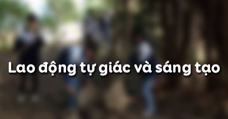 Giải bài tập tình huống GDCD 8 bài 11