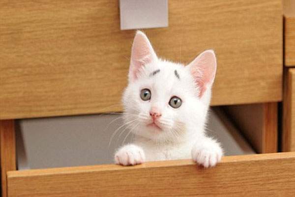 Giải bài tập Toán 12 Nâng cao Chương 2 bài 1: Lũy thừa với số mũ
