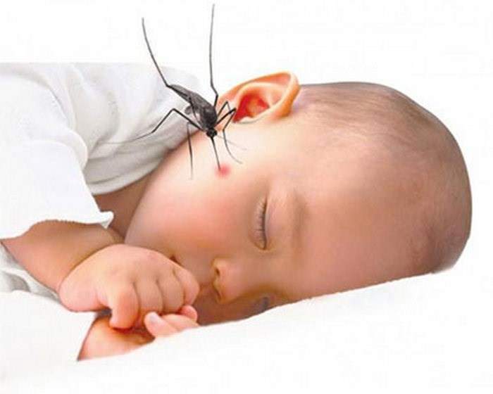 Cách sơ cứu dân gian khi bé bị côn trùng cắn