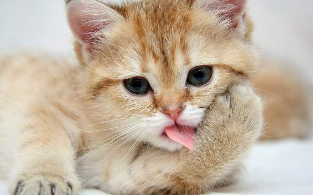 Giải bài tập Toán Nâng cao Đại số và Giải tích 12 bài 2
