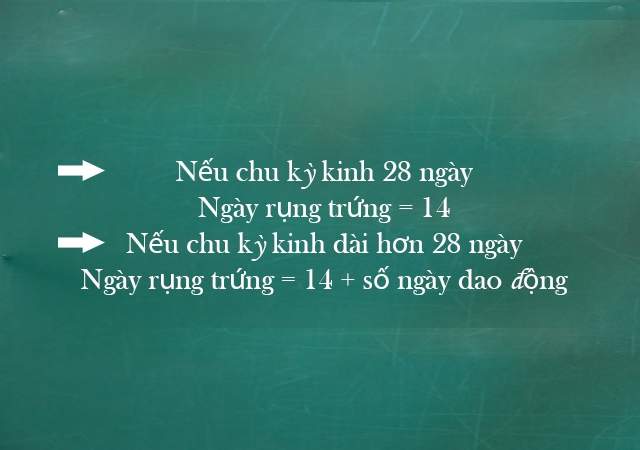 Cách canh ngày rụng trứng để thụ thai tự nhiên thành công