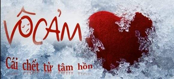 Sự Vô Cảm Đang Giết Chết Dần Xã Hội Loài Người