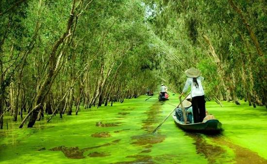 Nghệ thuật đặc sắc trong văn bản Sông nước Cà Mau