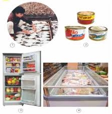 Trả lời câu hỏi Khoa học 4 Bài 4 trang 11