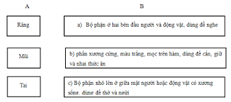 Luyện từ và câu Tuần 25 trang 41, 42, 43 VBT Tiếng Việt 4 Tập 2