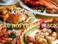 Trả lời câu hỏi Khoa học 4 Bài 7 trang 17