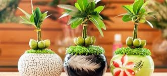 Tập làm văn Tuần 32 trang 94, 95 VBT Tiếng Việt 4 Tập 2