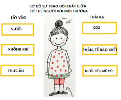 Trả lời câu hỏi Khoa học 4 Bài 2 trang 7