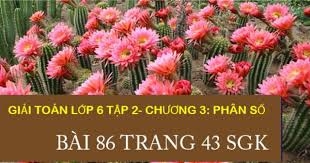 Bài 86 trang 43 SGK Toán 6 Tập 2