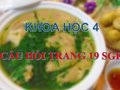 Trả lời câu hỏi Khoa học 4 Bài 8 trang 19