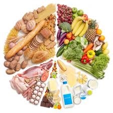Các chất dinh dưỡng có trong thức ăn. Vai trò của chất bột đường