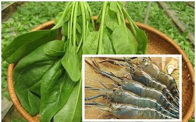 Những thực phẩm kỵ nhau tuyệt đối không nên nấu cháo cho trẻ