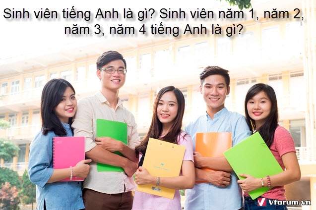 Sinh viên tiếng Anh là gì? Sinh viên năm nhất, năm 2, năm 3, năm