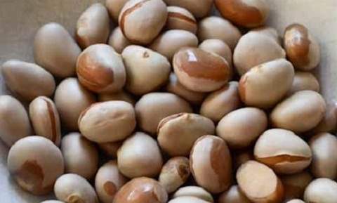 Công dụng làm đẹp từ hạt mít