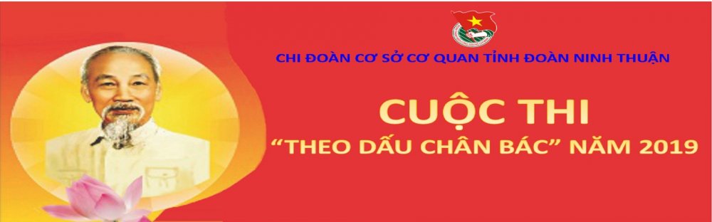 Hướng dẫn thi trực tuyến