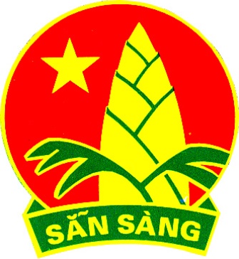Hội đồng Đội Tp. Hồ Chí Minh
